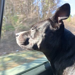 Meet your Posher, Lexi